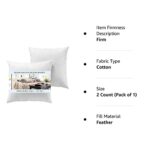 Yesterday Home Set of 2-26×26 Euro Pillow Inserts-Down Feather Pillow Inserts-White